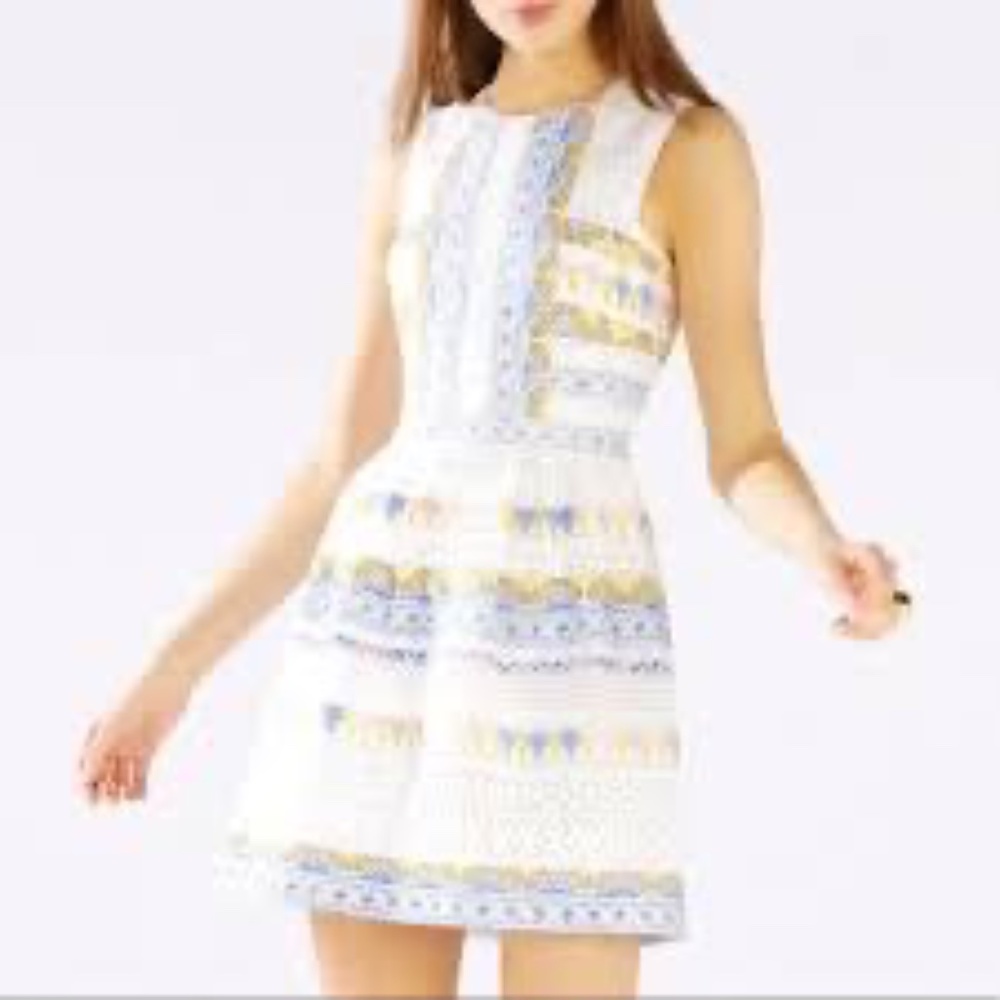 BCBG Max Azria Cecile Pleated Tapestry Mini‎ Dress Worn Once Sz 2